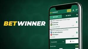 Comprehensive Overview of BetWinner Bonus Details Comprehensive Overview of BetWinner Bonus Details